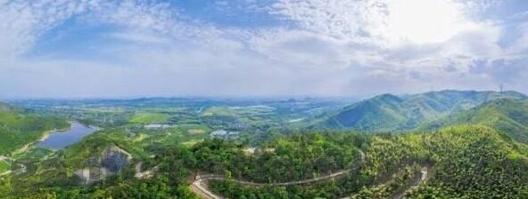 足球现场比分播报-绿茵烽火，实时比分播报背后的激情与故事